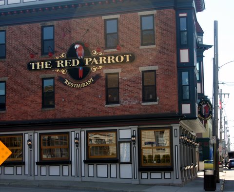 Red Parrot