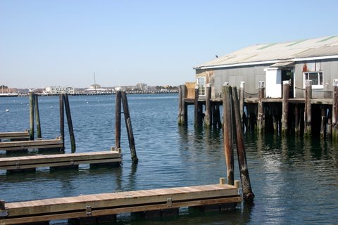 Newport Harbor
