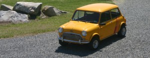 Mini For Sale