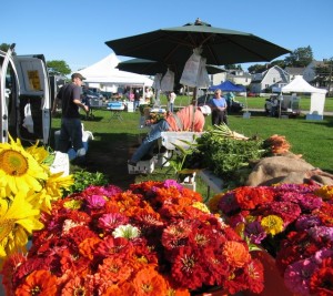 img_0088-1 Stonington Farmers Market